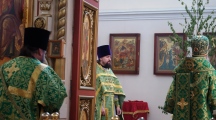 DSC01031.jpg